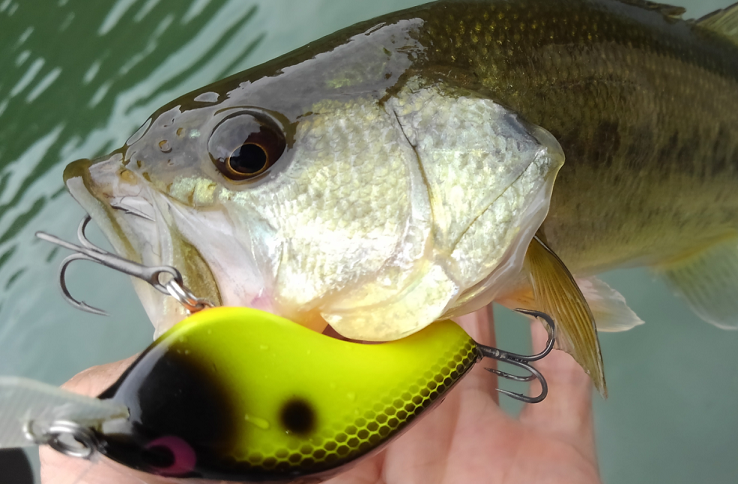 釣りに行っても釣れないのはどうして？釣れないスパイラルから抜け出す秘策とは