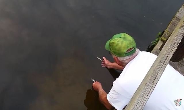 エサ　釣り　バス釣り