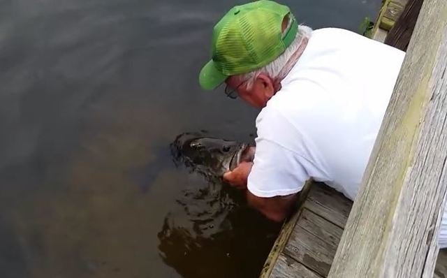 YouTube　動画　ブラックバス