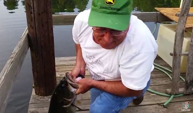 バス釣り　ブラックバス　YouTube