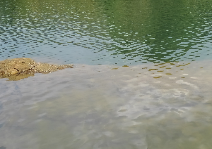 壁に追い込んで捕食しているバスを狙ってみよう!おすすめルアーをピックアップ