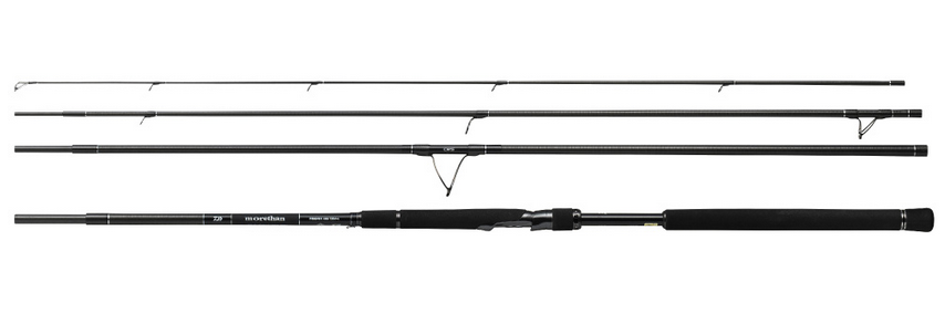 ダイワのシーバスロッドの写真