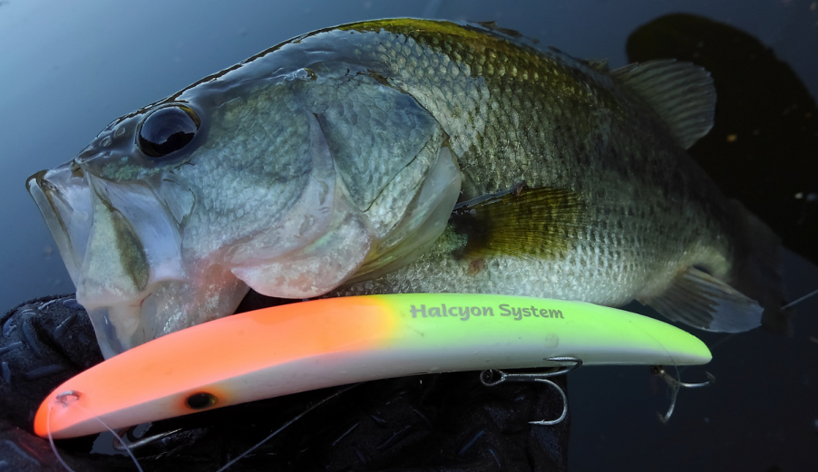 バス　ルアー　写真