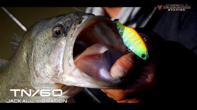 ジャッカル バス釣り バスフィッシング ルアー