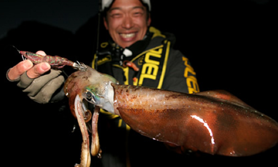 イカ　釣り人　写真