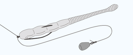 イラスト　写真