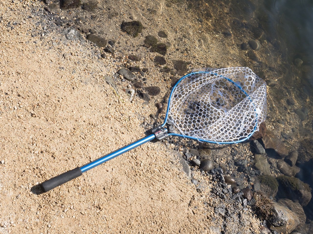 ランディングネットの写真