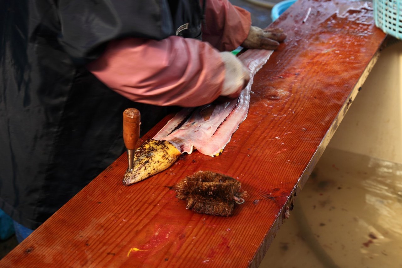 ウツボを開く写真