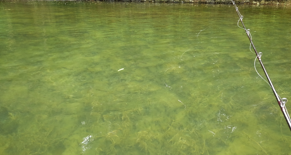 ルアー ロッド 写真