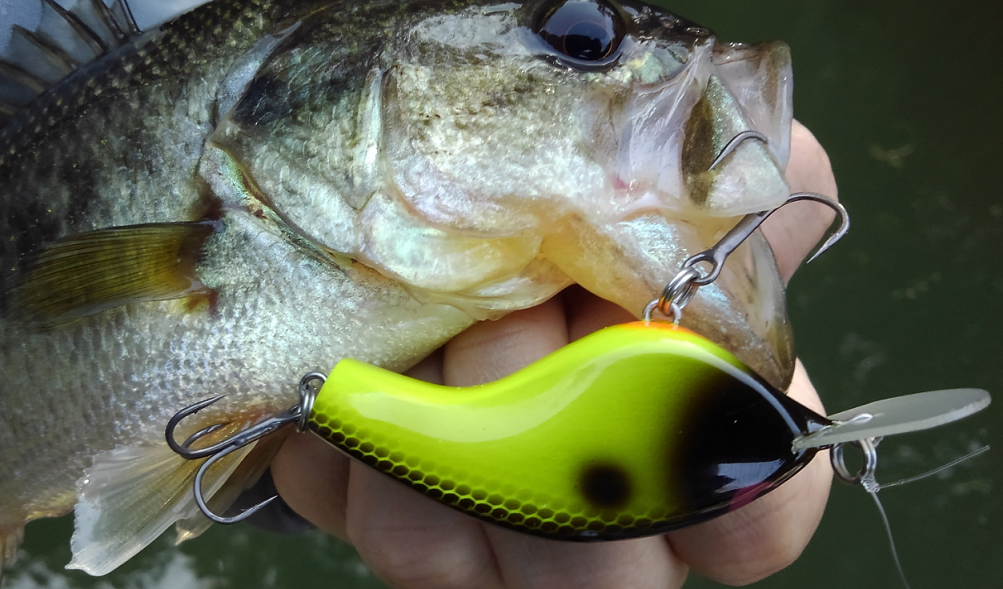 バス　ルアー　写真