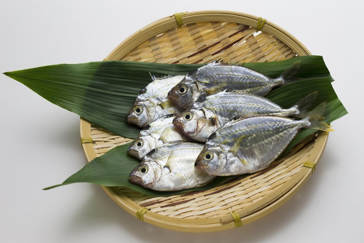 ヒイラギって魚知ってる 釣り方からさばき方 おすすめの料理法まで一挙ご紹介