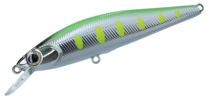 チャートが映えるヤマメカラー