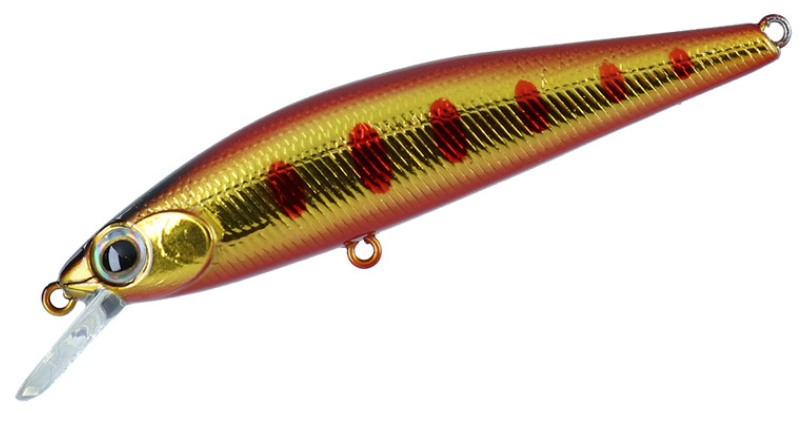 定番のアカキンカラーもラインナップ