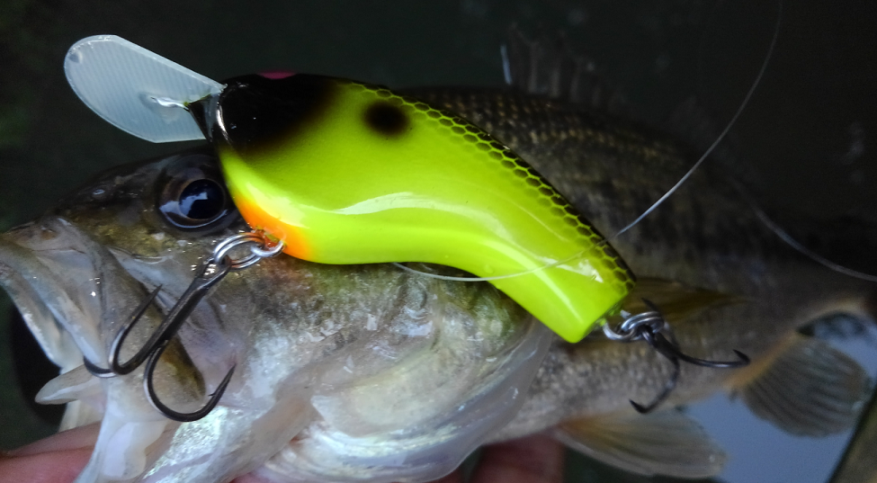 マクベスフラットにバイトしてきたバス