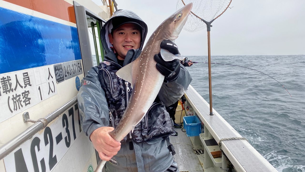 大雨でも大漁 シ メも釣れた伊良湖水道のイワシの泳がせ釣り釣行記