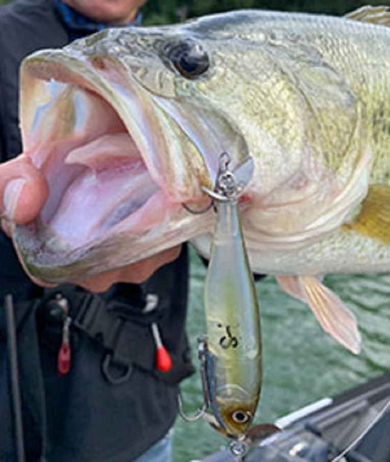 ビッグバスを引き寄せる回転プロップ