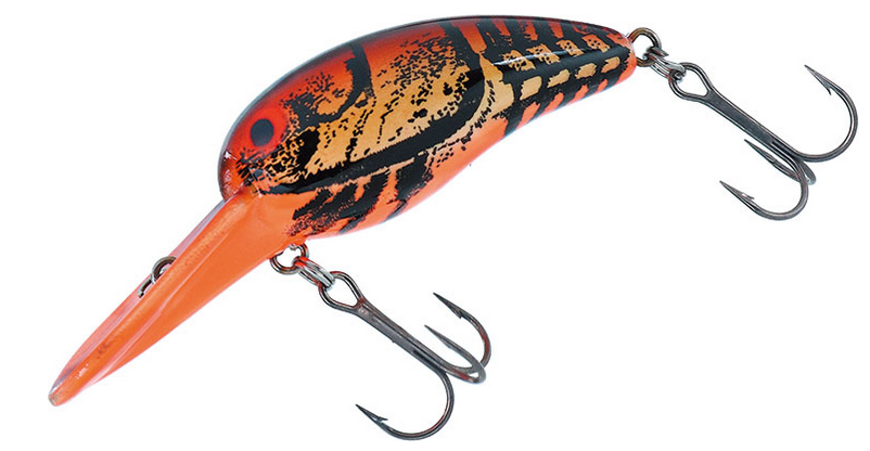 タイニーサイズのワイルドピーナッツ