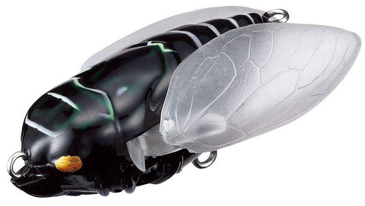 新しいセミルアー