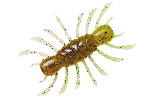 シュリンピードのサマークローカラー