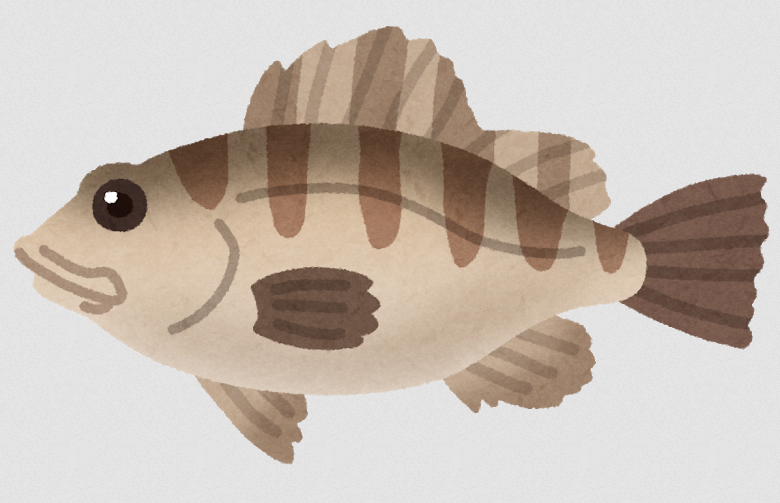 メバルの全体イラスト