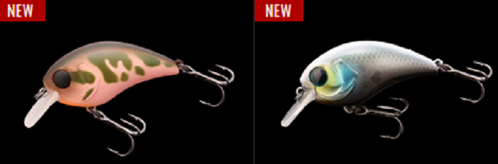 新しいカラーのマッシュボブ