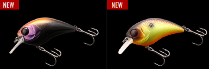 新しいカラーのマッシュボブ