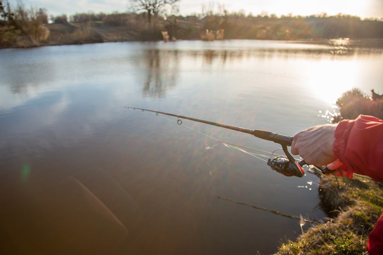 釣り人の手元の写真