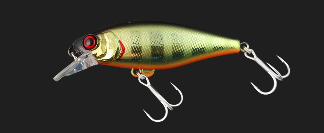 チャブルの新しいカラー写真