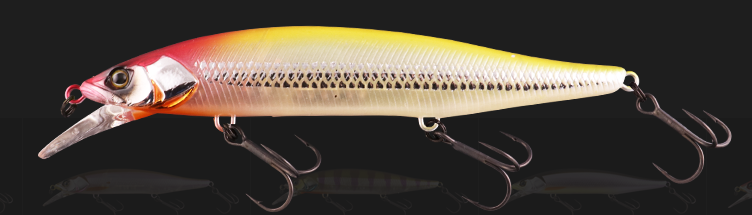 RVミノーのアップ写真