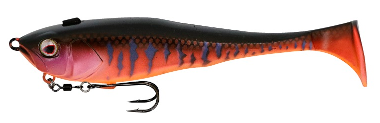 ダンクルのアップ写真