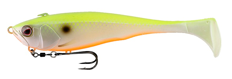 ダンクルのアップ写真