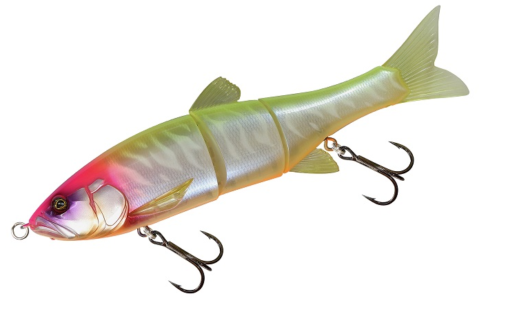 ダウズスイマーのアップ写真