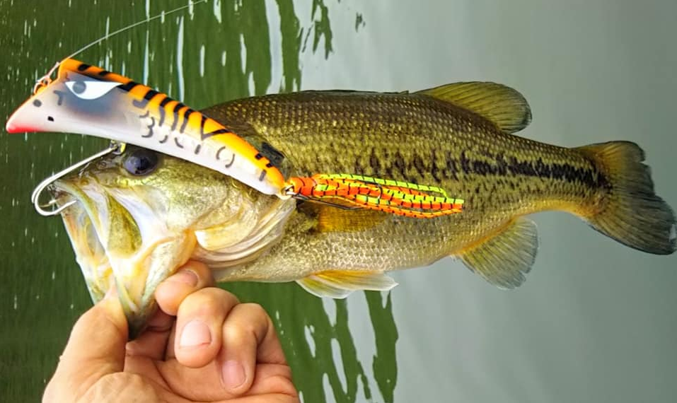 バスとルアーのアップ写真