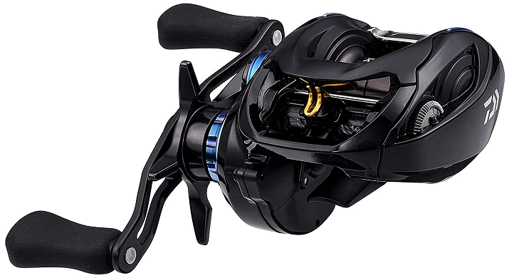 ジリオンのアップ写真