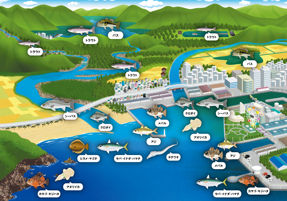 オカッパリで釣れる対象魚のイラストマップ