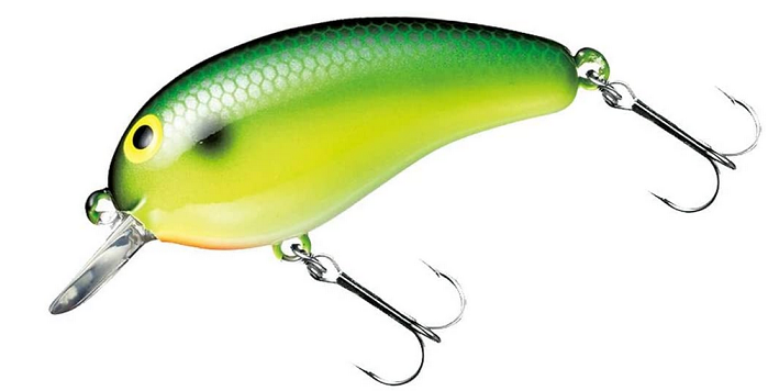 ピーナッツのアップ写真