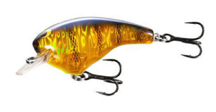 ルアーのアップ写真