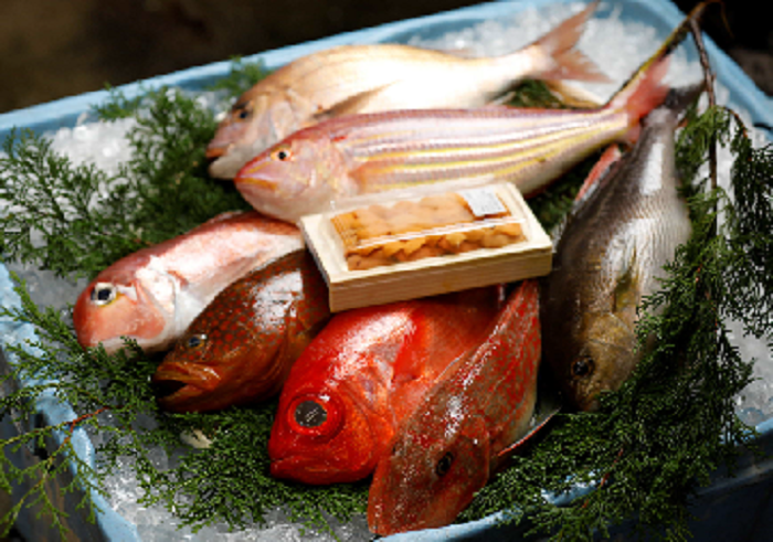 【おくらいり】「おうちdeおさかなマルシェ」を楽しもう!釣りに行かなくても高級魚を食べられる!