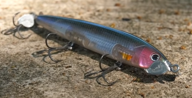 ビハドウ110のアップ写真