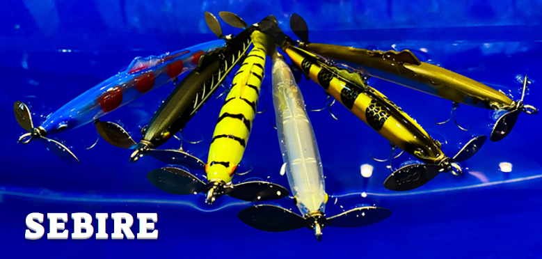 セビレのアップ写真