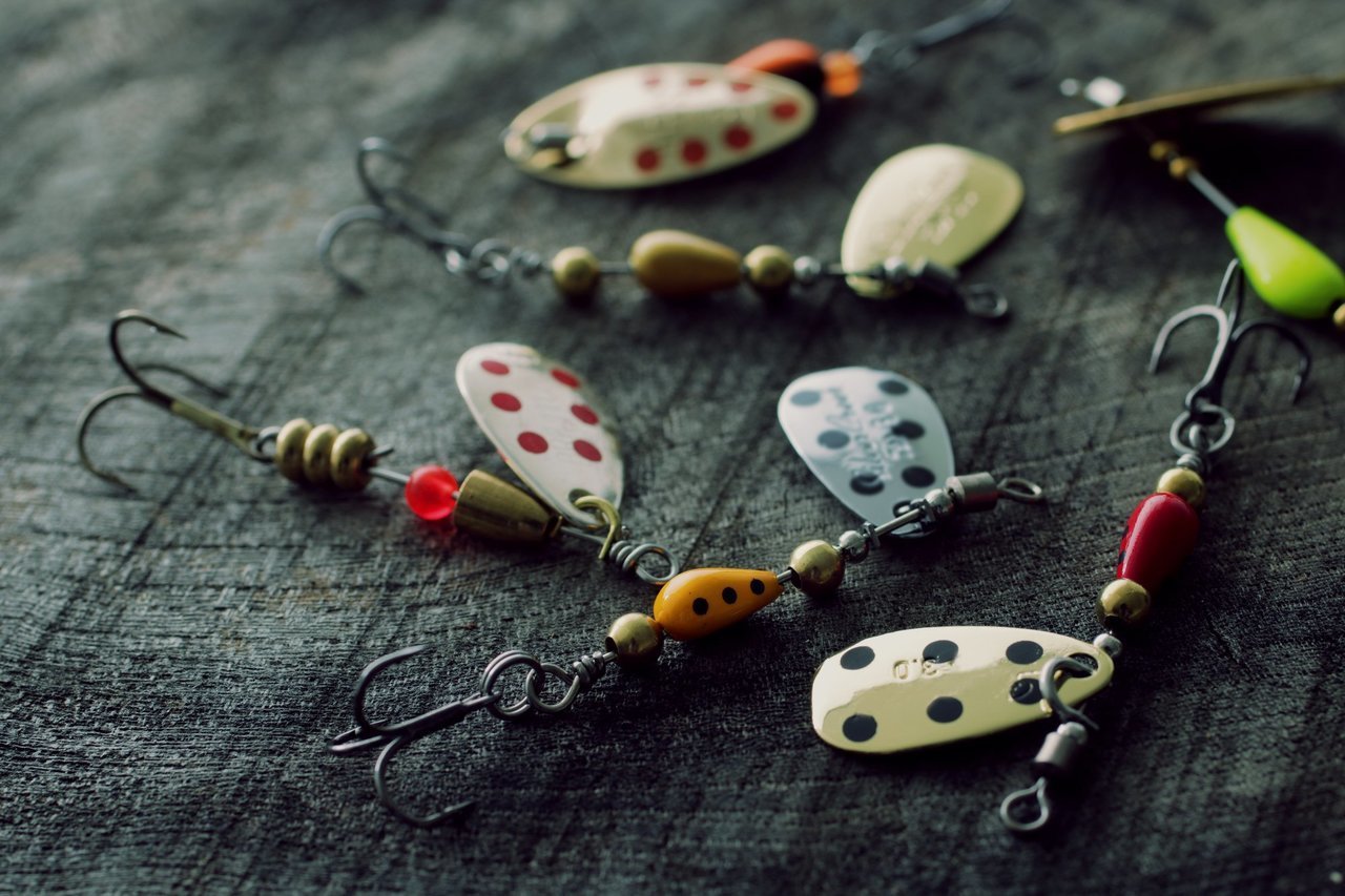 スピナーの写真