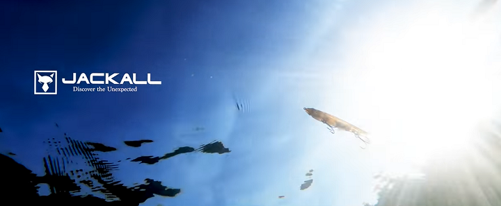 水中のルアー写真