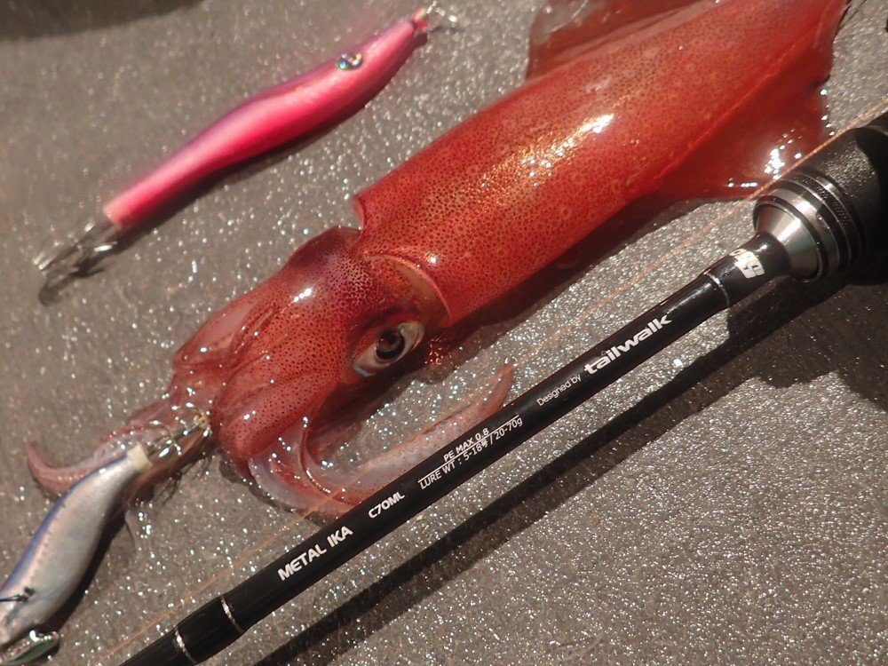 テイルウォークのソルティシェイプダッシュメタルイカの写真