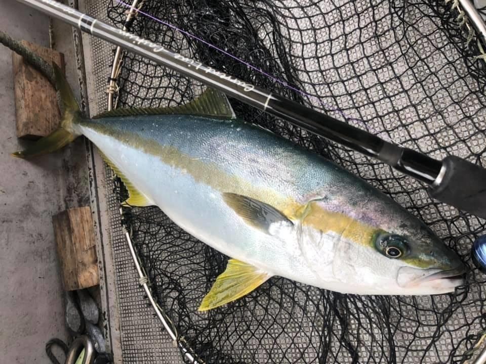 ロッドと魚の画像