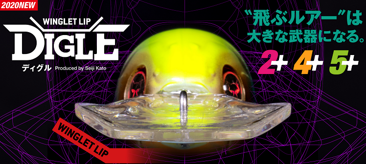 ルアーのアップ写真