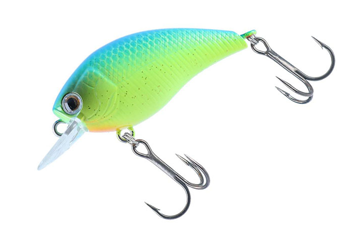 ルアーのアップ写真