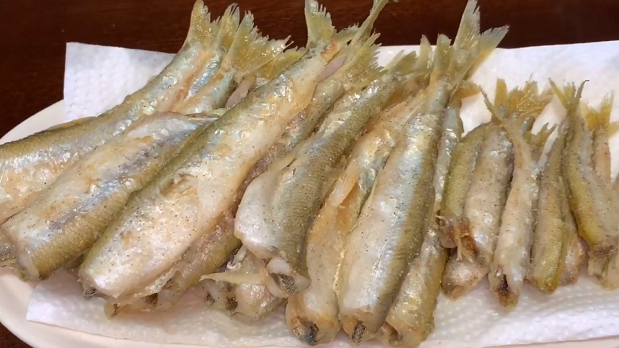 チカってどんな魚 北海道で盛んなチカ釣りをチェック おすすめのタックルや釣り方特集