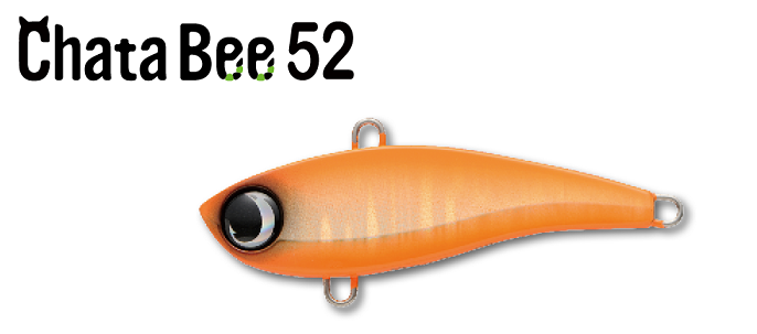 ルアーのアップ写真