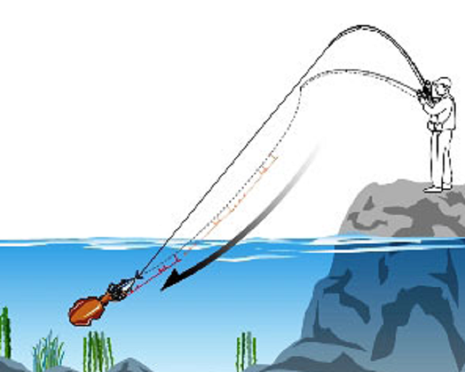 ヤエン釣法のイラスト