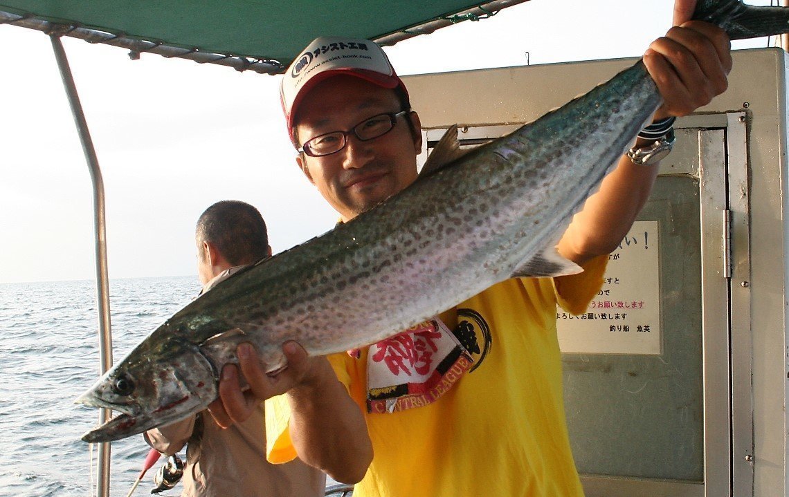 サワラ釣りはタナと合わせが肝心 サワラの特徴や旬 釣り方から仕掛けまで大公開